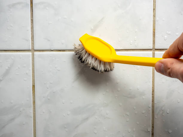 Best Mold Testing  in Mount Angel, OR