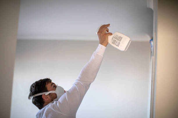 Best Emergency Mold Removal  in Mount Angel, OR