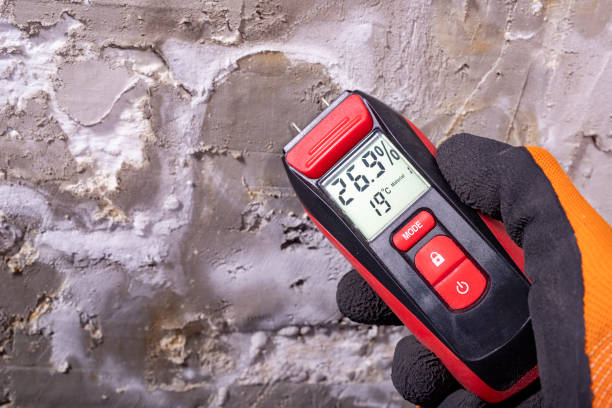 Best Mold Removal and Inspection  in Mount Angel, OR