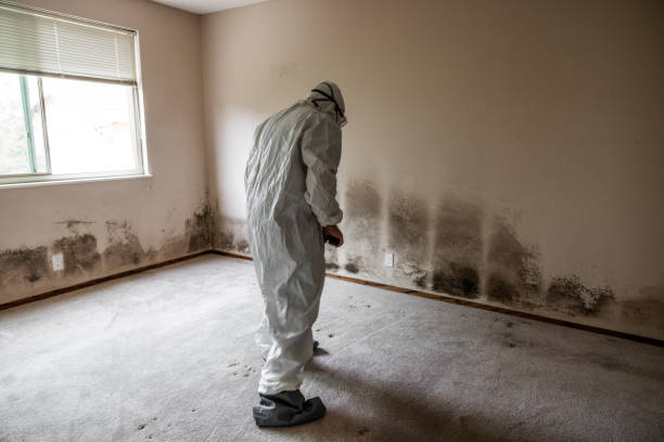 Best Residential Mold Removal  in Mount Angel, OR